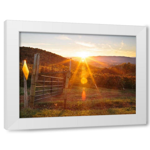 Farm Study VII White Modern Wood Framed Art Print by Mead, Adam