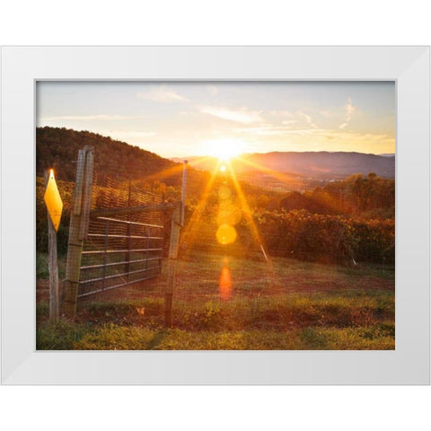 Farm Study VII White Modern Wood Framed Art Print by Mead, Adam