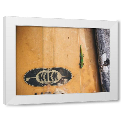 Hawaii View IX White Modern Wood Framed Art Print by Mead, Adam