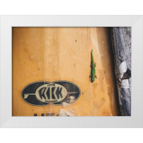 Hawaii View IX White Modern Wood Framed Art Print by Mead, Adam