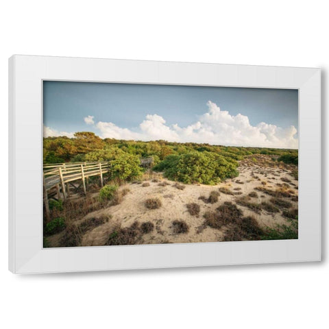 First Landing Dunes I White Modern Wood Framed Art Print by Mead, Adam