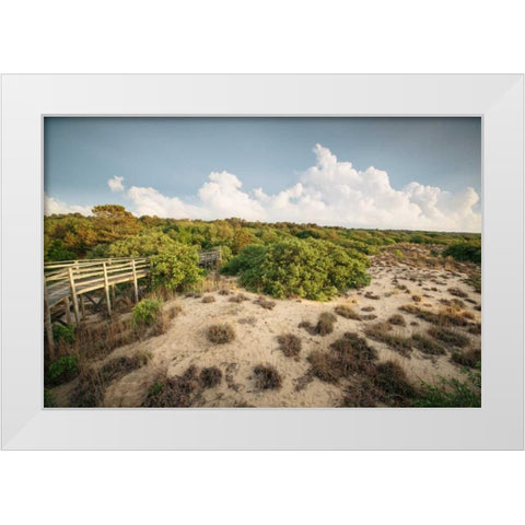First Landing Dunes I White Modern Wood Framed Art Print by Mead, Adam