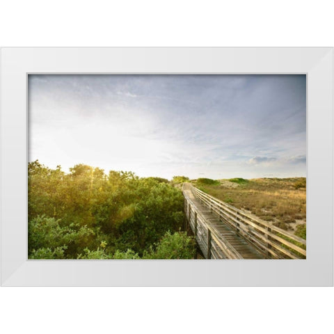 First Landing Dunes II White Modern Wood Framed Art Print by Mead, Adam