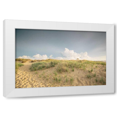 First Landing Dunes V White Modern Wood Framed Art Print by Mead, Adam