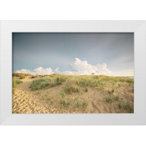 First Landing Dunes V White Modern Wood Framed Art Print by Mead, Adam