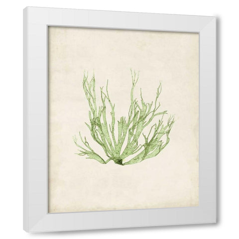 Peridot Seaweed IV White Modern Wood Framed Art Print by Vision Studio