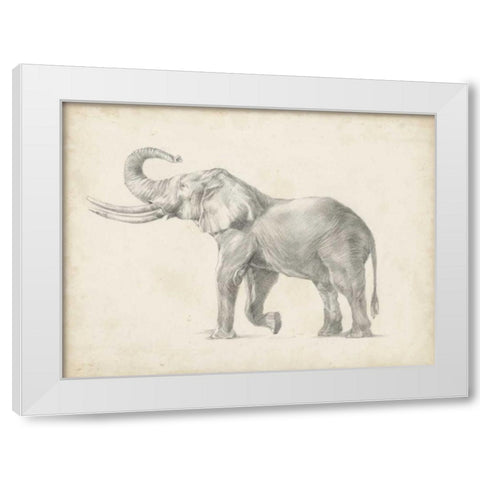 Elephant Sketch I White Modern Wood Framed Art Print by Harper, Ethan