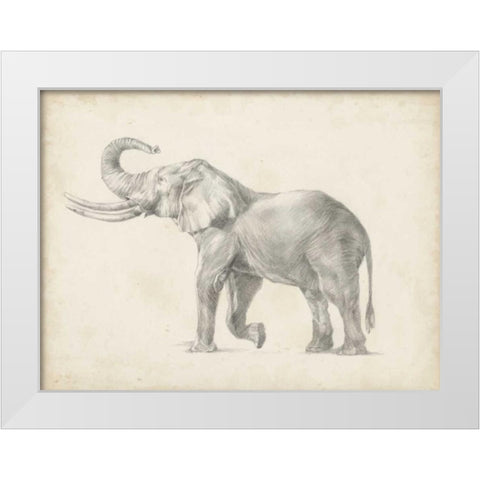 Elephant Sketch I White Modern Wood Framed Art Print by Harper, Ethan
