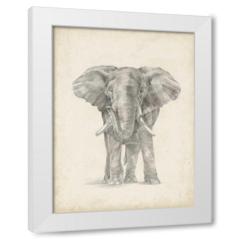 Elephant Sketch II White Modern Wood Framed Art Print by Harper, Ethan