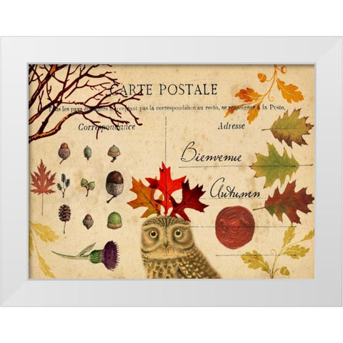 Collected Autumn V White Modern Wood Framed Art Print by Lloyd, Sandy