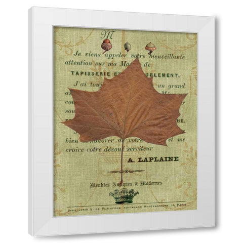 Autumn Leaf II White Modern Wood Framed Art Print by Lloyd, Sandy