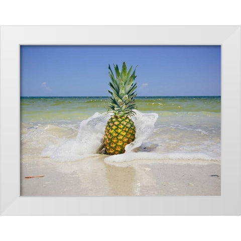 South Florida Pineapple IV White Modern Wood Framed Art Print by Mead, Adam