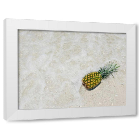 South Florida Pineapple V White Modern Wood Framed Art Print by Mead, Adam