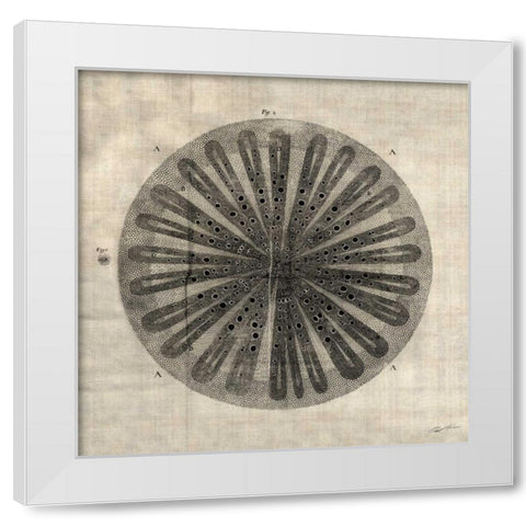 Cross Cut III White Modern Wood Framed Art Print by Butler, John