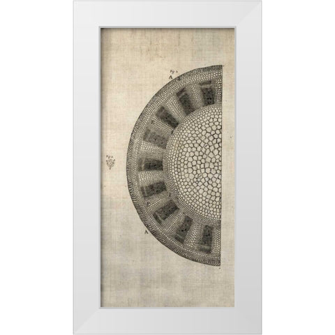 Cross Cut I Left White Modern Wood Framed Art Print by Butler, John