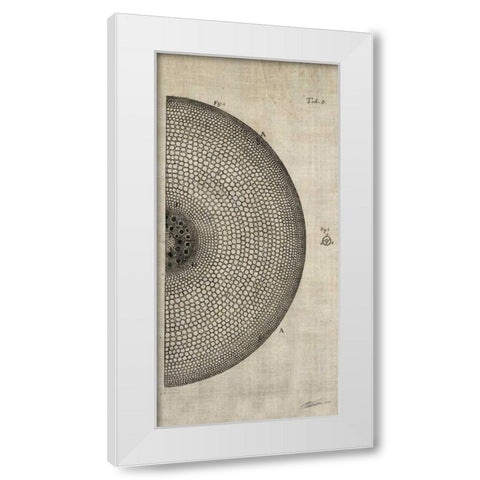 Cross Cut I Right White Modern Wood Framed Art Print by Butler, John