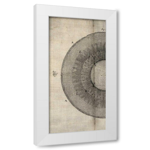 Cross Cut II Left White Modern Wood Framed Art Print by Butler, John