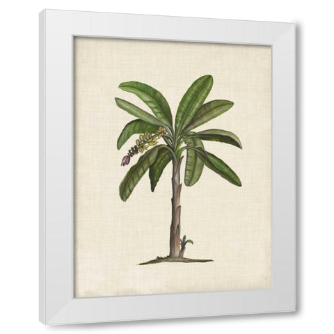 British Palms II White Modern Wood Framed Art Print by McCavitt, Naomi