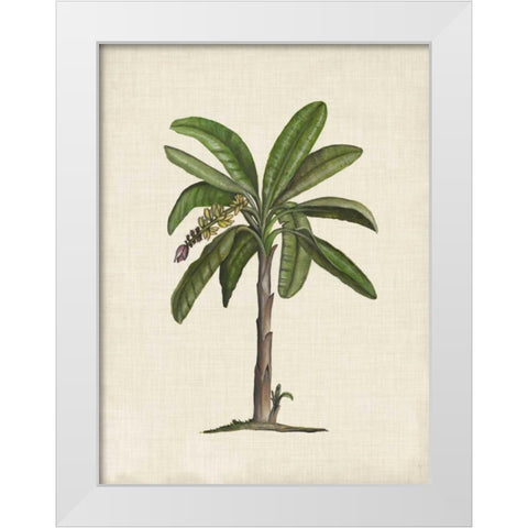 British Palms II White Modern Wood Framed Art Print by McCavitt, Naomi