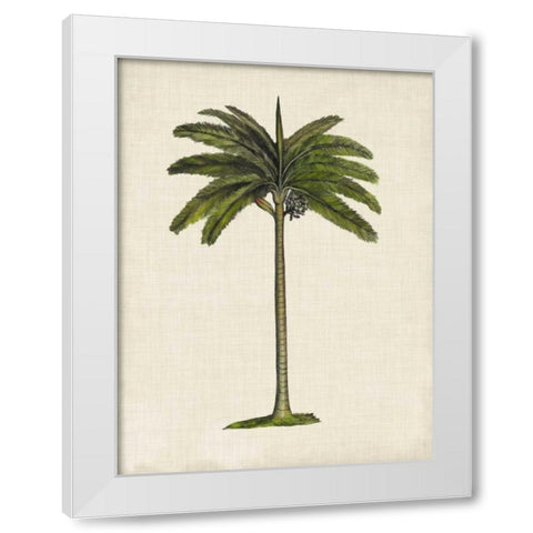 British Palms IV White Modern Wood Framed Art Print by McCavitt, Naomi