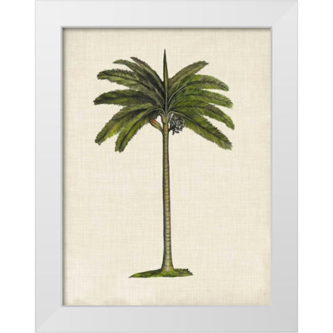 British Palms IV White Modern Wood Framed Art Print by McCavitt, Naomi