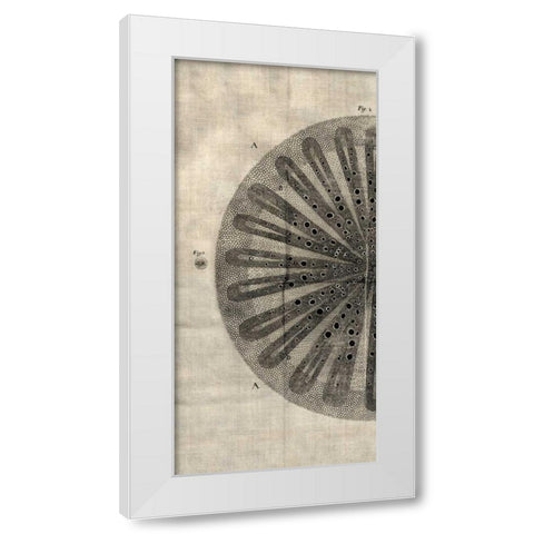 Cross Cut III Left White Modern Wood Framed Art Print by Butler, John