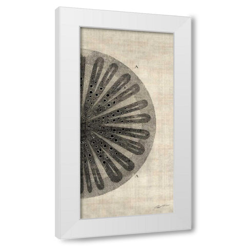 Cross Cut III Right White Modern Wood Framed Art Print by Butler, John