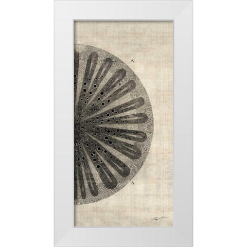 Cross Cut III Right White Modern Wood Framed Art Print by Butler, John