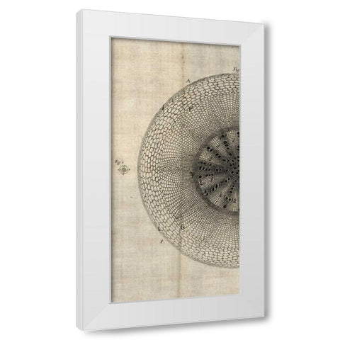Cross Cut IV Left White Modern Wood Framed Art Print by Butler, John