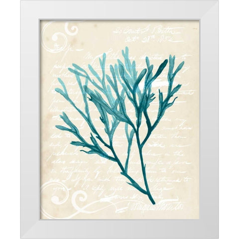 Teal Seaweed III White Modern Wood Framed Art Print by Popp, Grace