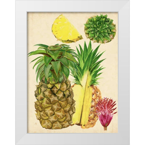 Tropical Pineapple Study I White Modern Wood Framed Art Print by Wang, Melissa
