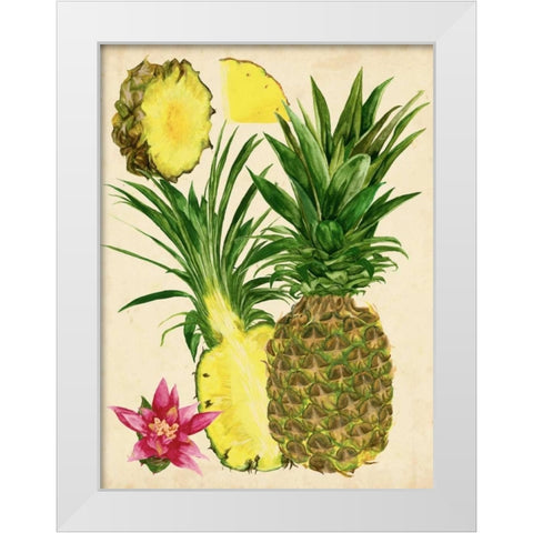 Tropical Pineapple Study II White Modern Wood Framed Art Print by Wang, Melissa