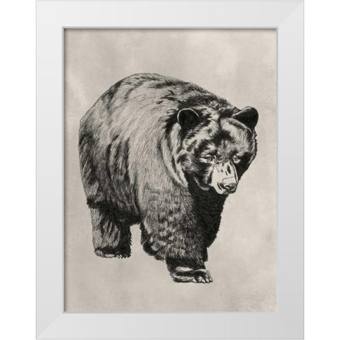 Pen and Ink Bear I White Modern Wood Framed Art Print by McCavitt, Naomi