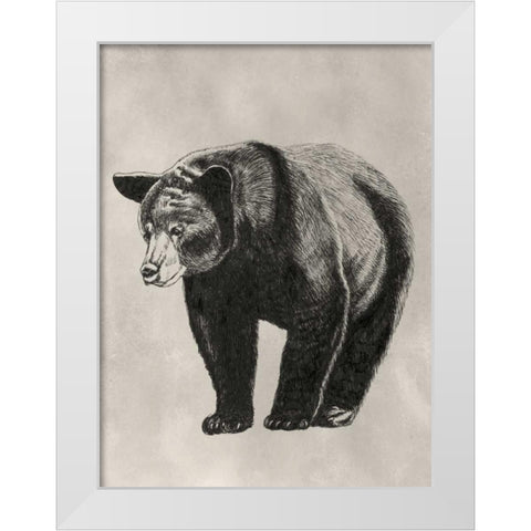 Pen and Ink Bear II White Modern Wood Framed Art Print by McCavitt, Naomi