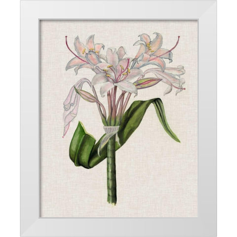 Crinium Lily II White Modern Wood Framed Art Print by McCavitt, Naomi