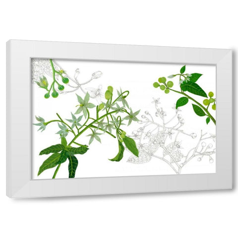 Solanum II White Modern Wood Framed Art Print by Wang, Melissa