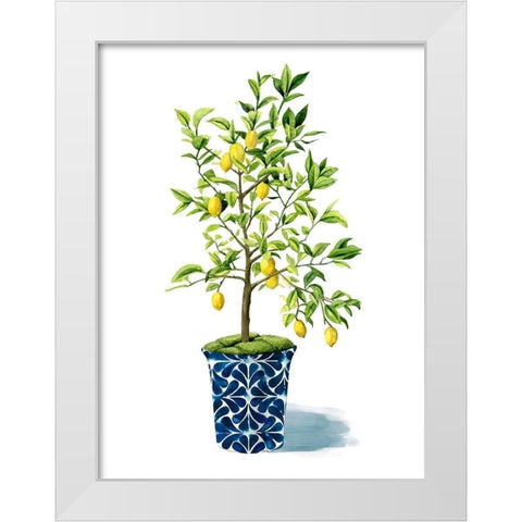 Fruit Tree II White Modern Wood Framed Art Print by Popp, Grace