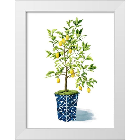Fruit Tree II White Modern Wood Framed Art Print by Popp, Grace