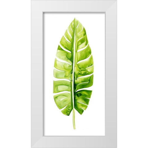 Banana Leaf Study II White Modern Wood Framed Art Print by Popp, Grace