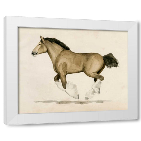 Clydesdale II White Modern Wood Framed Art Print by Popp, Grace
