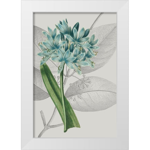 Botanical Arrangement II White Modern Wood Framed Art Print by Vision Studio