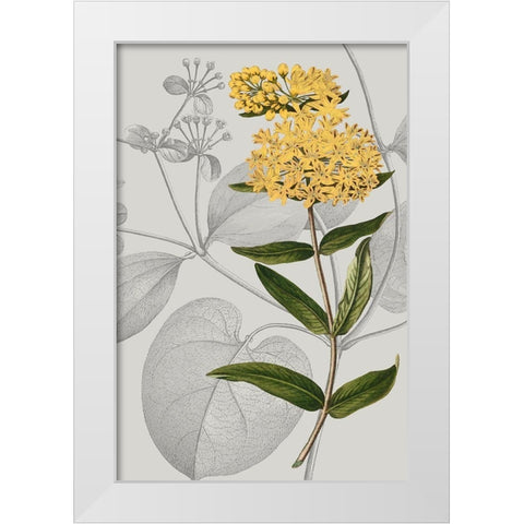 Botanical Arrangement V White Modern Wood Framed Art Print by Vision Studio