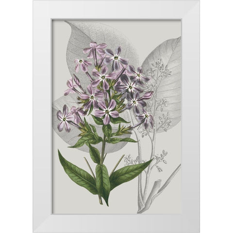 Botanical Arrangement VI White Modern Wood Framed Art Print by Vision Studio