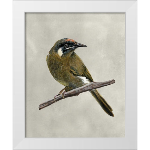 Winged Beauty III White Modern Wood Framed Art Print by McCavitt, Naomi