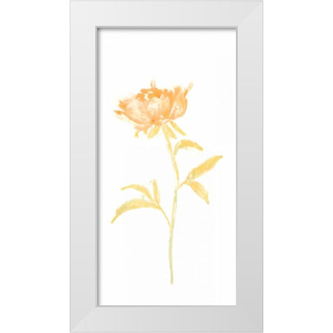 Bouquet Blush II White Modern Wood Framed Art Print by Vess, June Erica