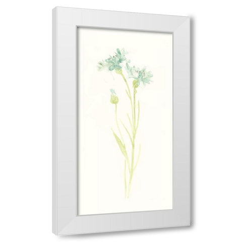 Cornflower Study I White Modern Wood Framed Art Print by Vess, June Erica