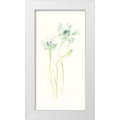Cornflower Study II White Modern Wood Framed Art Print by Vess, June Erica