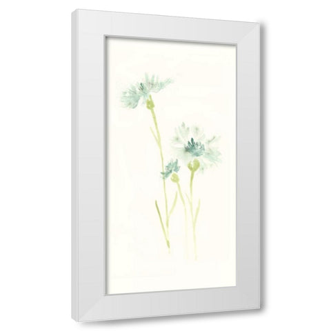 Cornflower Study III White Modern Wood Framed Art Print by Vess, June Erica