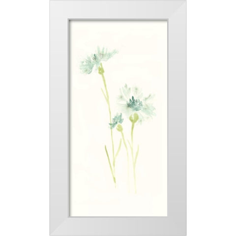 Cornflower Study III White Modern Wood Framed Art Print by Vess, June Erica