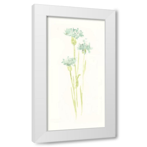 Cornflower Study IV White Modern Wood Framed Art Print by Vess, June Erica